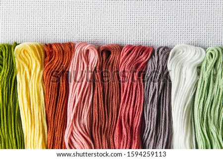 flat lay for needlework and cross-stitch: multi-colored mouline thread on a white canvas aida 16 counts, place for text