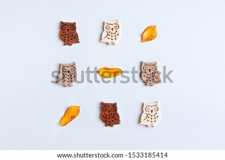 Flat lay pattern of cute wooden owls set with tree diferents colors of wood light to dark and orange autumn leaves on white background. Wood carving concept