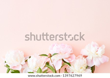 Flat lay pattern with light pink peonies on a pink background