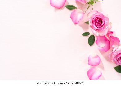 Flat Lay. Pink Roses And Rose Petals On A Pink Background.