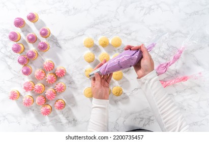 Flat Lay. Piping Ombre Pink Buttercream Frosting On Mini Vanilla Cupcakes.