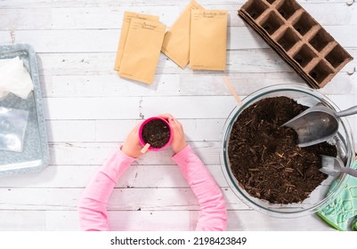 Flat Lay. Planting Seeds Into Peat Moss Pots To Start An Indoor Vegetable Garden.