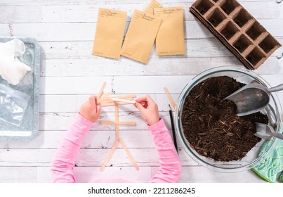 Flat Lay. Planting Seeds Into Peat Moss Pots To Start An Indoor Vegetable Garden.