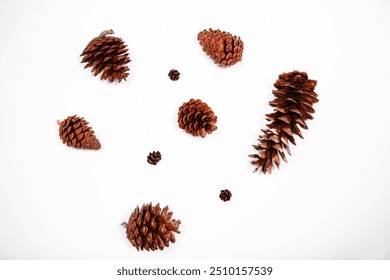 flat lay of scattered pinecones of various sizes against a white background, fall background - Powered by Shutterstock