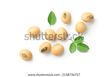 Flat lay of Soybeans  isolated on white background.