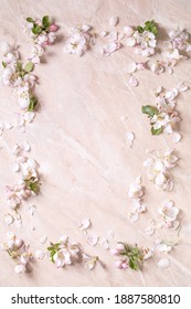 Flat Lay Of Spring Apple Blooming Flowers And Petals As Border Frame Over Pink Marble Background. Copy Space