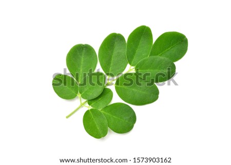 Flat lay (top view) Close-up of Fresh green Moringa leaves isolated on white background.