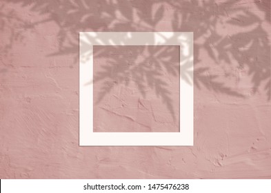 Flat lay top view of creative copyspace with paper frame and tropical leaves palm shadow on coral color background.