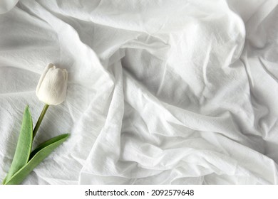 Flat Lay Or Top View Natural White Artificial Single One Tulip Decoration Styling On Creased Or Wrinkled Soft Clean White Color Bedsheet Cloth Texture Minimalistic Background