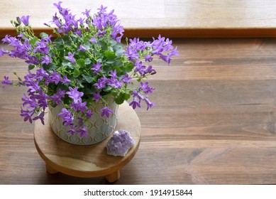 Flat Lay, Top View Office Table Desk With Copy Space. Purple Campanula Bell-flowers With Amethyst On The Wooden Desk. 