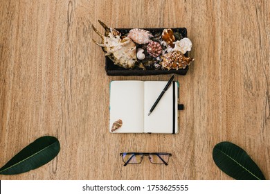 Flat lay, top view of an open white notebook with pen for writing cases for the day on a light wooden table. Work surface, with empty place for text, copy space, seashells for composition