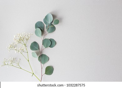 Flat lay top view photo. Mockup on a grey background  with gentle flowers and plants. Cute feminine mockup. Blog header image. Blank space.