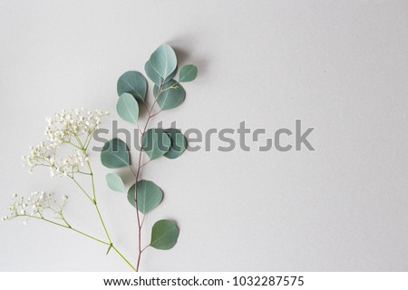 Flat lay top view photo. Mockup on a grey background  with gentle flowers and plants. Cute feminine mockup. Blog header image. Blank space.