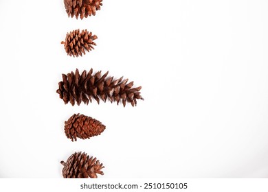 flat lay of various size pinecones against a white background with copy text space available - Powered by Shutterstock