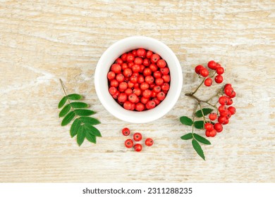 Flat lay view of fresh ripe orange rowan berries in green cup. Using rowan berries in food concept. Beige wood board background, indoors. - Shutterstock ID 2311288235