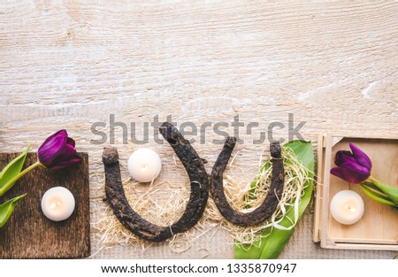 Flat lay view of two rusty small and big horseshoes on light wooden board background, decorated with white small candles and purple tulips, spring in ranch or horse products background. 