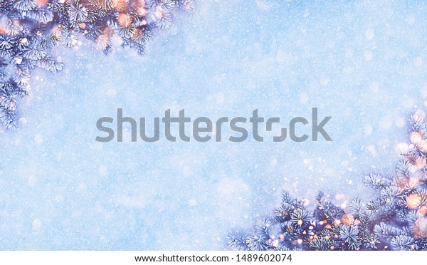 Download Flat Lay Winter Nature Christmas Background Backgrounds Textures Stock Image 1489602074 PSD Mockup Templates