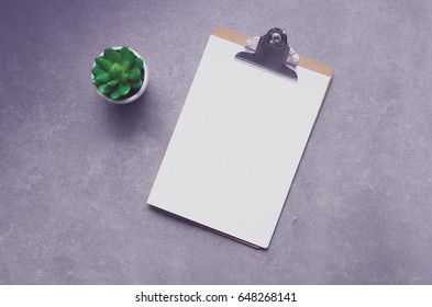 Flat lay worker accessories on table with office tools and plant
