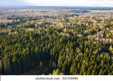 flat plain with autumnal forest aerial view. autumn flat plain with mixed forest, fields and meadows, the view from the top