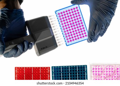  flat plate with multiple  wells  used as small test tubes.  Microplate is a standard tool in analytical research and clinical and diagnostic testing laboratory.