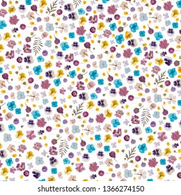 flat pressed dried flower pattern isolated on white background