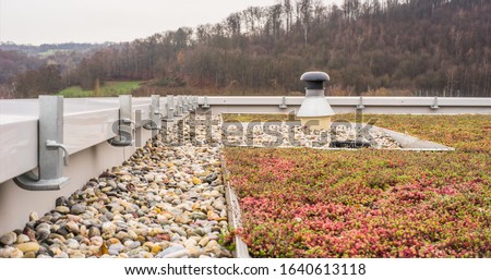 Flat roof with gravel drainage and roof greening