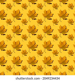 flat seamless pattern of maple leaves on a yellow background with a shadow - Powered by Shutterstock - Get 15% off with code: PIKWIZARD15