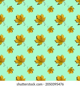 flat seamless pattern of maple leaves on a green background with a shadow - Powered by Shutterstock - Get 15% off with code: PIKWIZARD15