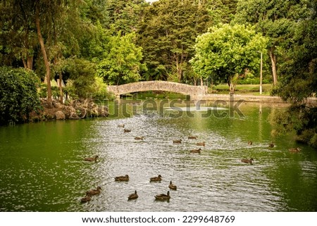 flat stone bridge over duck pond in Queens park, Invercargill
