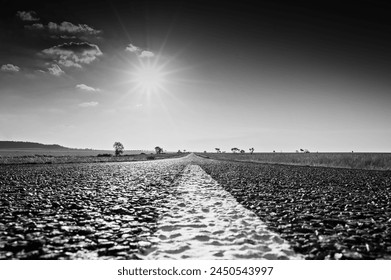 flat straight road extending to the horizon in the distance, flat barren landscape, desolate with hot sun overhead, black and white monochrome, ultra low perspective and high contrast - Powered by Shutterstock