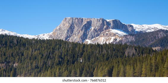 flat  top of snowy range of mountain on  tops of  green forest