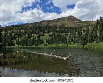 Flat Tops Wilderness Area.