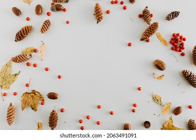 Flatlay of autumn goodies acorns, cones, mountain ash and leaves - Shutterstock ID 2063491091