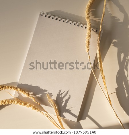 Flatlay of blank sheet notebook and dry decorative plant branch on neutral pastel beige background. Sunlight shadows on the wall. Minimalist beauty Parisian vibes concept. Copy space mockup template.