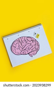 flatlay composition with a drawn brain