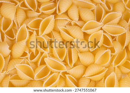 Flatlay composition of yellow pasta shells with crisp edges and even colors. Geometric pasta shell pattern arranged in repetitive manner suitable for marketing and design projects