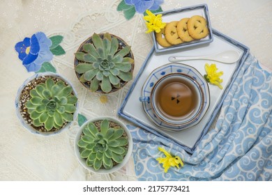 Flatlay photography on tea time on lacy table cloth background complement with biscuits, rosettes succulent and blue theme chinaware. 