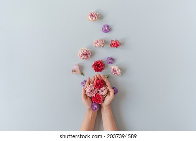 Flatlay of red and pink roses flowers in women's hand on blue background. Flat lay, top view minimalistic floral composition. Valentine's Day, Mother's Day concept.
