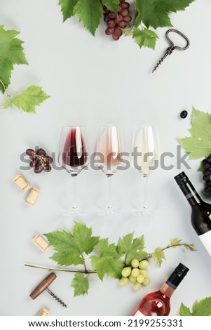 Flat-lay of red, rose and white wine in glasses, Branch of grape vine, bottles of wine on white background. Wine bar, winery, wine degustation concept. Minimalistic trendy photography