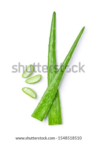 Flatlay (top view) of Aloe vera cutting  leaves with sliced and water drops isolated on white background.