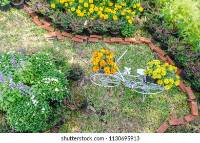 Bicycle Planter Images Stock Photos Vectors Shutterstock