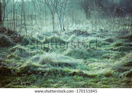 Similar – Foto Bild Samstagmorgen Natur Sonne