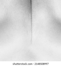 Flattened Shoulder Blades. Macro Photography. Detailed Texture Of Human Skin. Close Up Part Of Female Body. Skincare, Bodycare, Healthcare, Hygiene And Medicine Concept. Black And White Picture