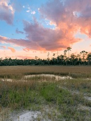 Flatwood Forest In Jupiter, Florida At Sunset On The Trail