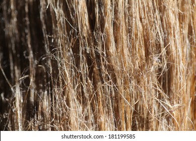 Flax Fiber