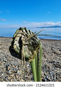 Flax Flower On Coromandel Coast