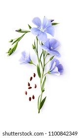 Flax Flower With Seeds In Closeup