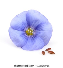 Flax Flower With Seeds On A White Background