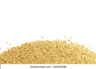 flax seed in pure white background
