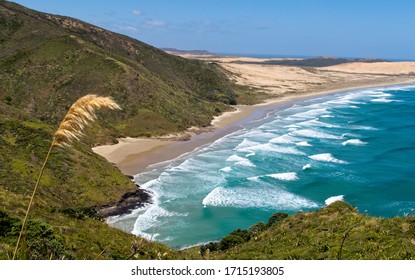 Flax Waving Over The Beach At Cape Reinga NZ.